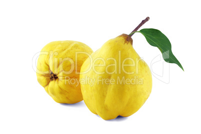 Sweet quinces