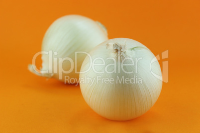 Ripe white onions