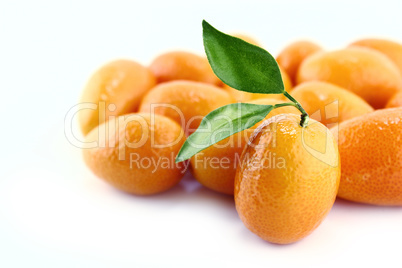 Small Orange Fruit