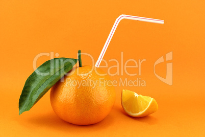 Orange Fruit