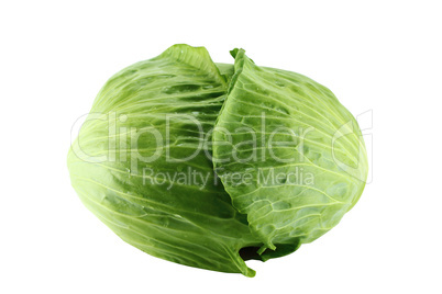 fresh green cabbage