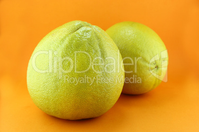 Bergamot