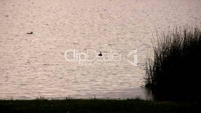 Lake at sunset