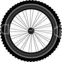 Bike wheel isolated on white background