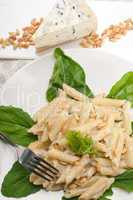 Italian pasta penne gorgonzola and pine nuts