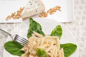 Italian pasta penne gorgonzola and pine nuts