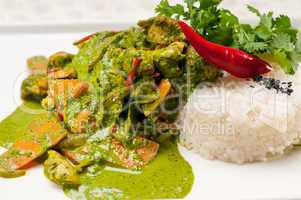 chicken with green curry vegetables and rice