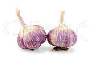 Garlic whole