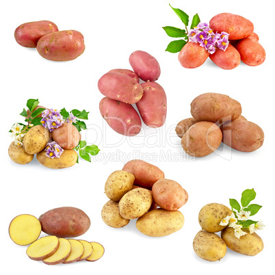 Potatoes different set