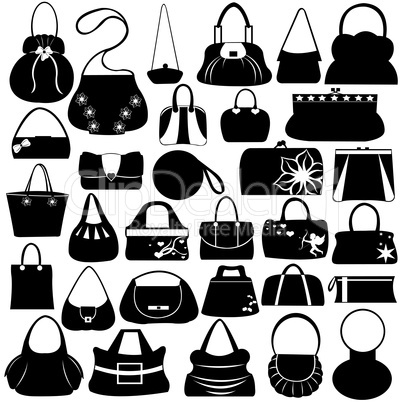 Female Purse Set