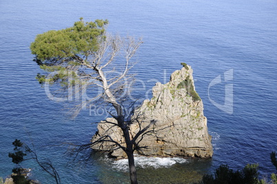 Felsen an der Küste von Mallorca