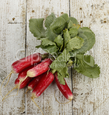 Fresh Radish