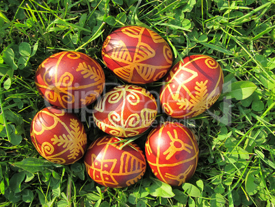 Croatian traditional easter eggs on green grass