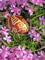 Croatian traditional easter egg on pink flowers