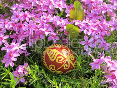 Croatian traditional easter egg on green grass and flowers