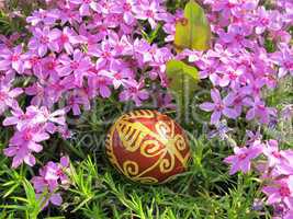 Croatian traditional easter egg on green grass and flowers