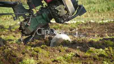 Tilling a garden with a rototiller