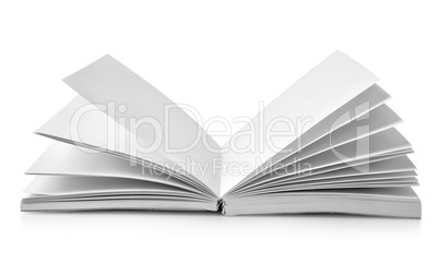 Open book with fanned pages