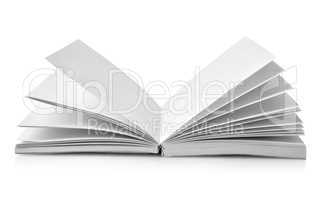 Open book with fanned pages