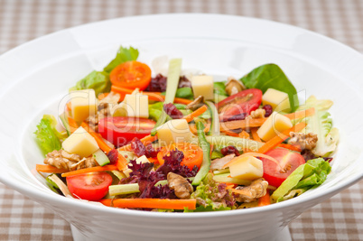 Fresh colorful healthy salad