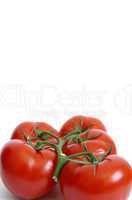 Fresh red tomatoes