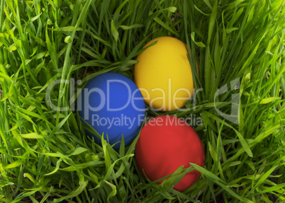 Easter eggs in the grass.