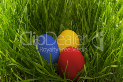 Easter eggs in the grass.