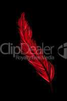 A red feather