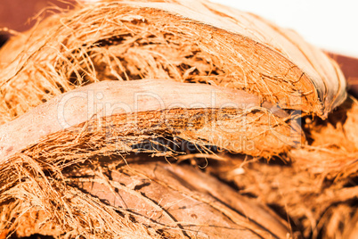 Coconut fiber