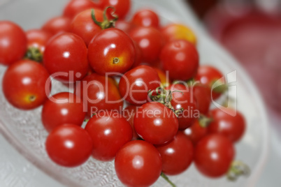 Kleine Tomaten serviert