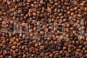 coffee bean background