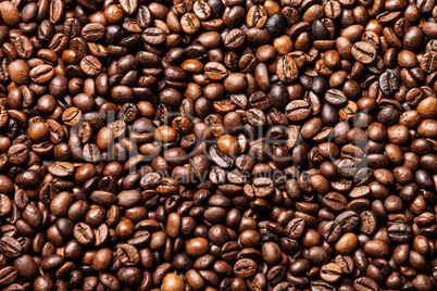 coffee bean background