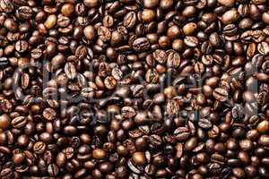 coffee bean background