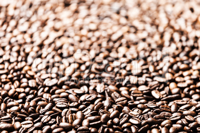 coffee bean background