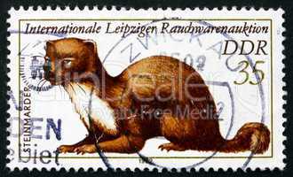 postage stamp gdr 1982 stone marten