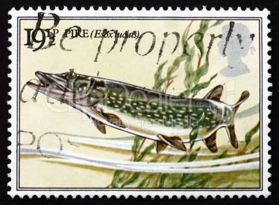 postage stamp gb 1983 pike fish