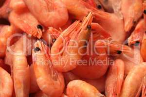 many boiled tasty shrimps