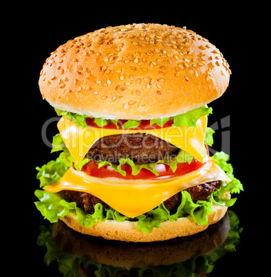 Tasty and appetizing hamburger