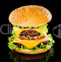 Tasty and appetizing hamburger