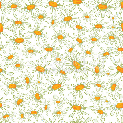 Camomile seamless pattern