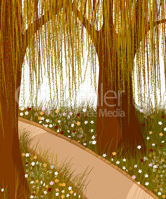 Willow forest background