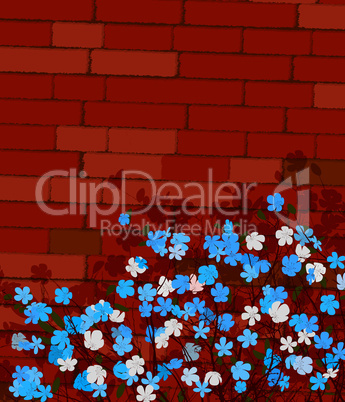 Blue flowers on a wall