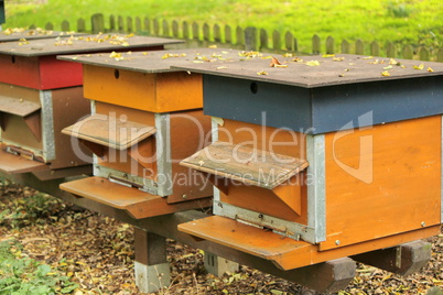 Colorful beehives