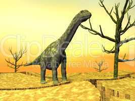Argentinosaurus dinosaur in the wild - 3D render