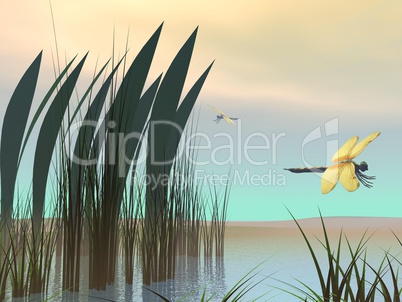 Dragonflies upon pond - 3D render
