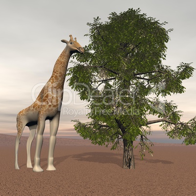 Big giraffe - 3D render