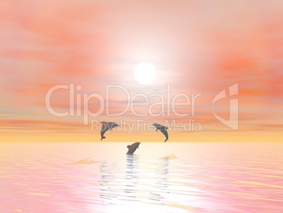 Happy dolphins - 3D render