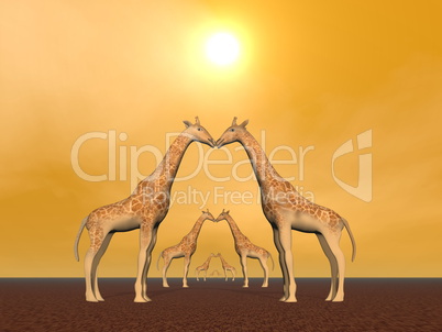 Giraffe couples - 3D render