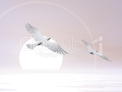 Free doves - 3D render