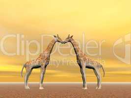 Giraffe couple - 3D render